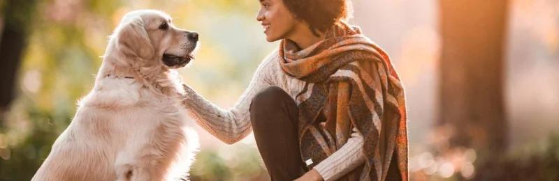 狗狗识别主人 Dogs recognize their owners