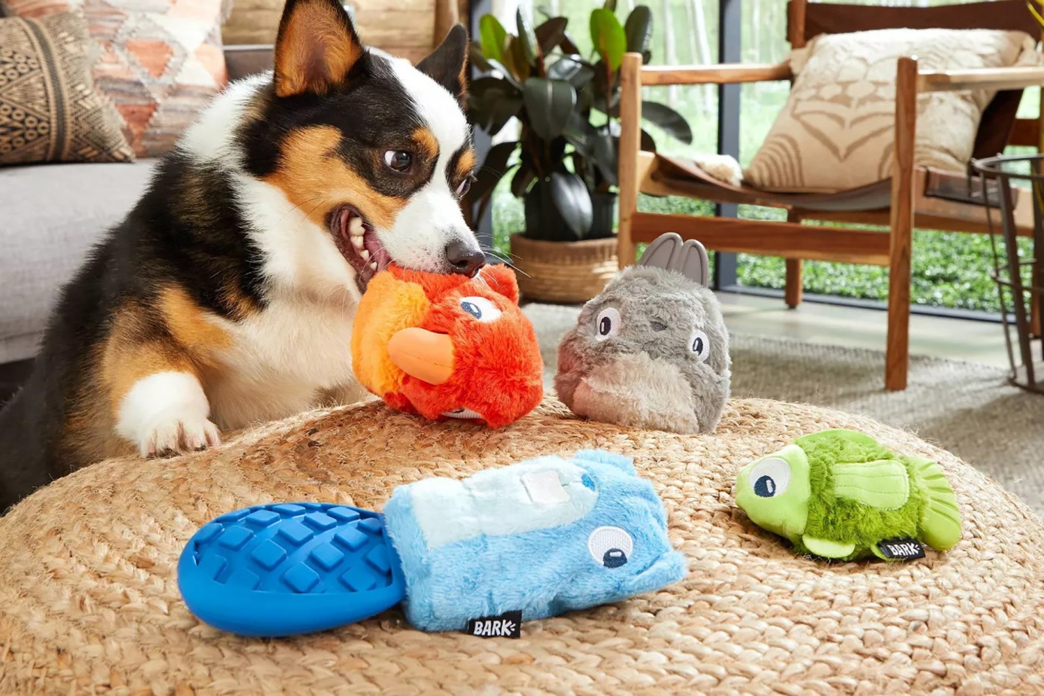 狗狗玩具 Dog Toys